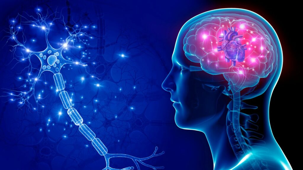 Heart-brain connection neural cardiac yoga