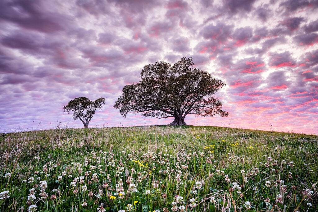 Yoga Australia registered teacher training